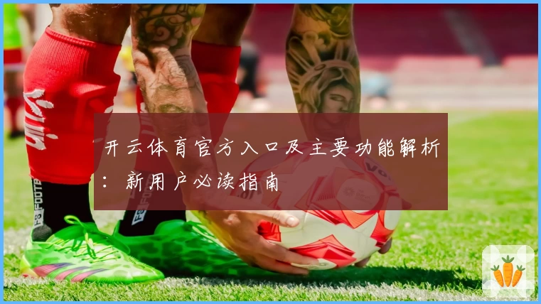 开云体育官方入口及主要功能解析：新用户必读指南