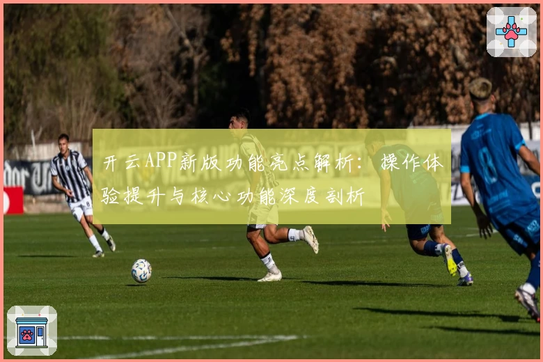 开云APP新版功能亮点解析：操作体验提升与核心功能深度剖析