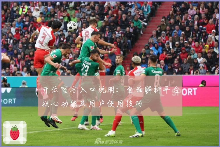 开云官方入口说明：全面解析平台核心功能及用户使用技巧